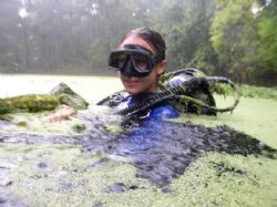 Swampthing Diver...gooey! This is a classic case of attac... by Becky Kagan 